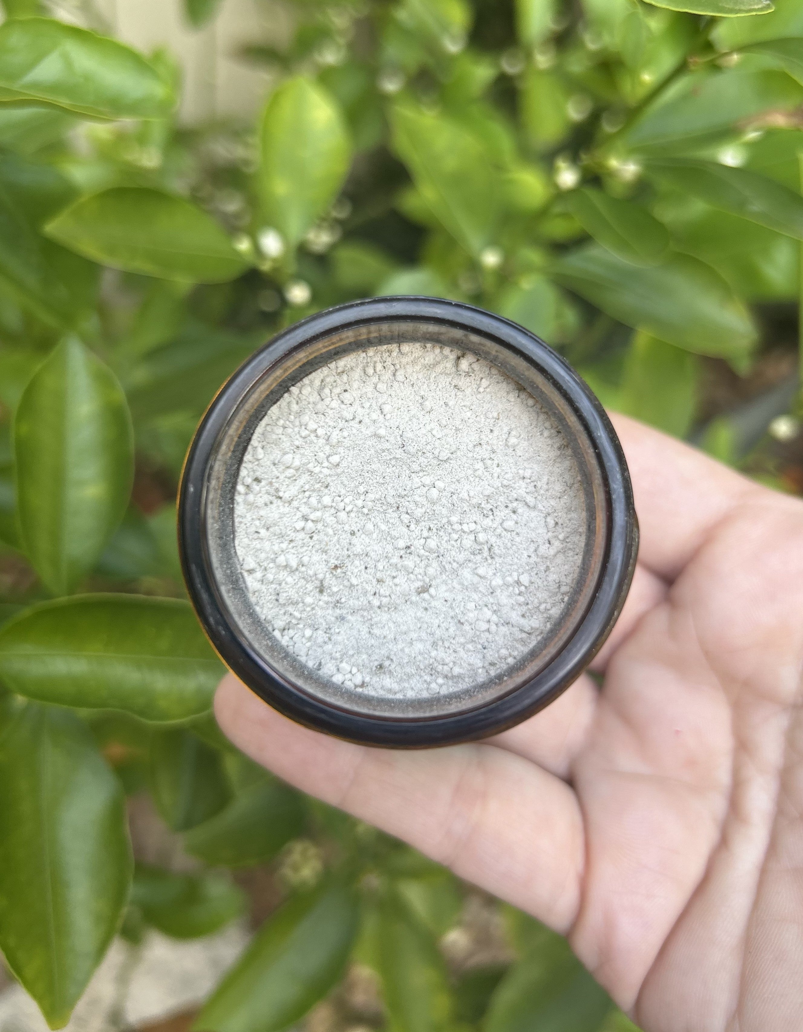 Cinnamon Spice Remineralizing Tooth Powder with Organic Ingredients