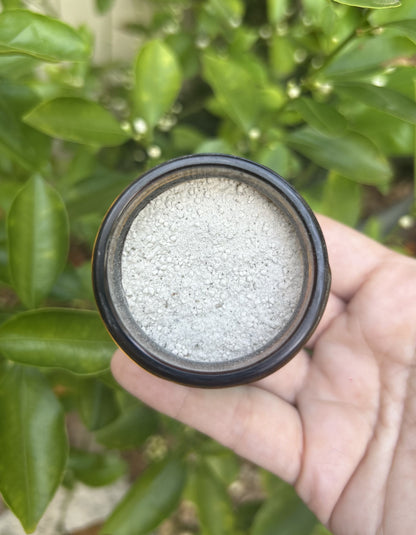 looking down on an open glass jar of tooth powder with a hand holding the jar and leaves in the background
